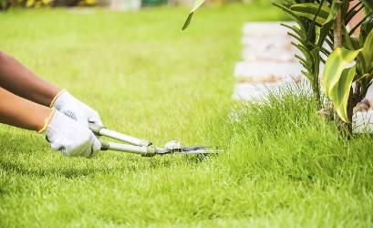 Landscaping Experts Melton Vic, Landscaping Experts in Melton Vic, landscaper in Melton, landscaping services melton , landscaping near melton, landscaping services, landscaping in Melton, VIC