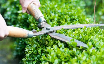 Garden Makeovers Truganina Vic, Garden Makeovers in Truganina Vic